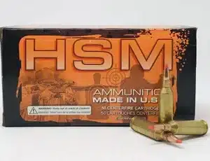 HSM 17 Fireball 20 grain V-Max Polymer Tip (50 rd box)